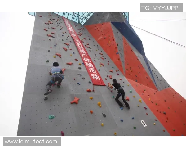 西安攀岩队区域防守分析与战术调整探讨